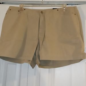 Size 20 Venezia Khaki Shorts